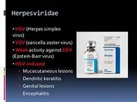 Aciclovir IV.JPG